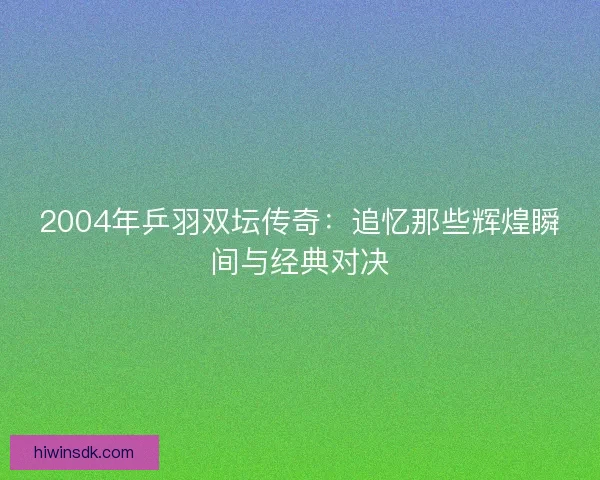 2004年乒羽双坛传奇：追忆那些辉煌瞬间与经典对决